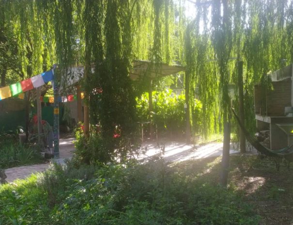 WhatsApp Image 2025-09-27 at 15.02.08