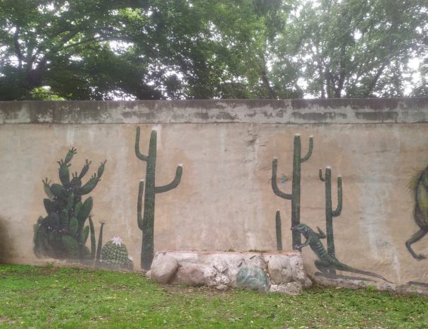 WhatsApp Image 2025-09-27 at 15.02.12